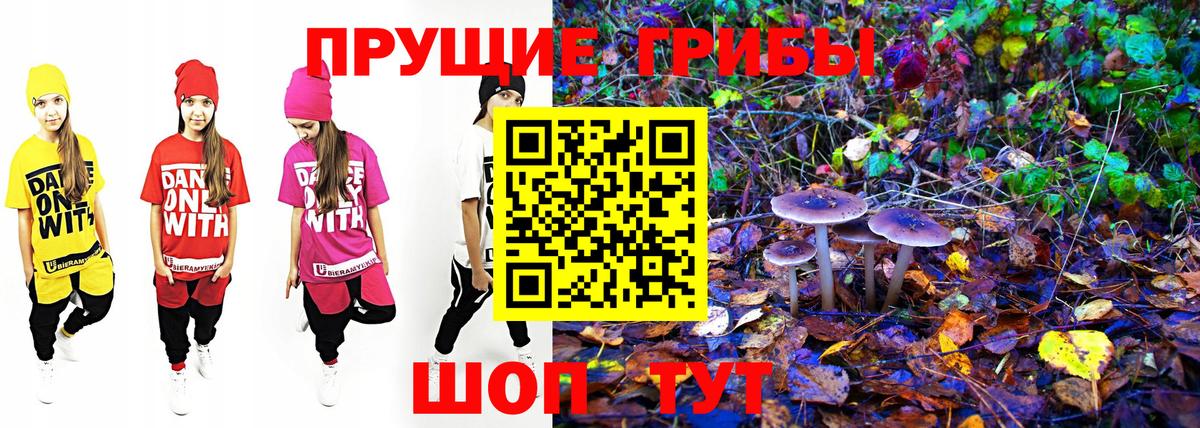 Старый Оскол  где найти   Вход с VPN  Псилоцибиновые грибы Cubensis  Галлюциногенные грибы мухоморы 